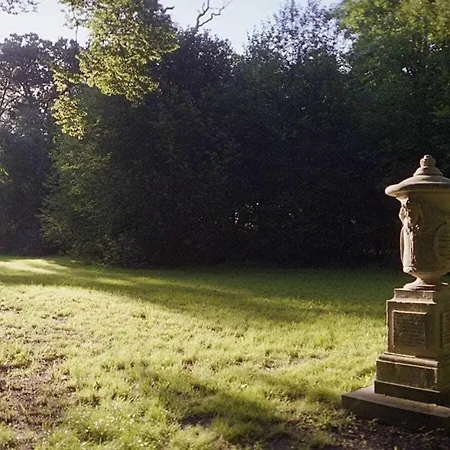 Von Stechow Comfortable *