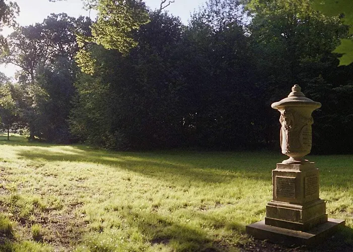 Von Stechow Comfortable *